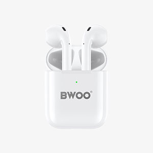 BWOO Earbuds1-300