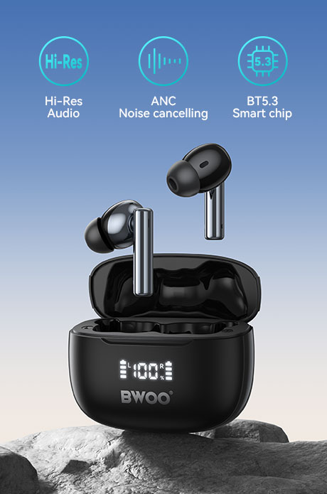 ANC wireless earbuds1