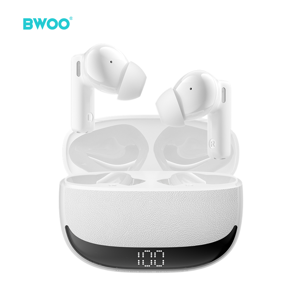 BO-BW40-1