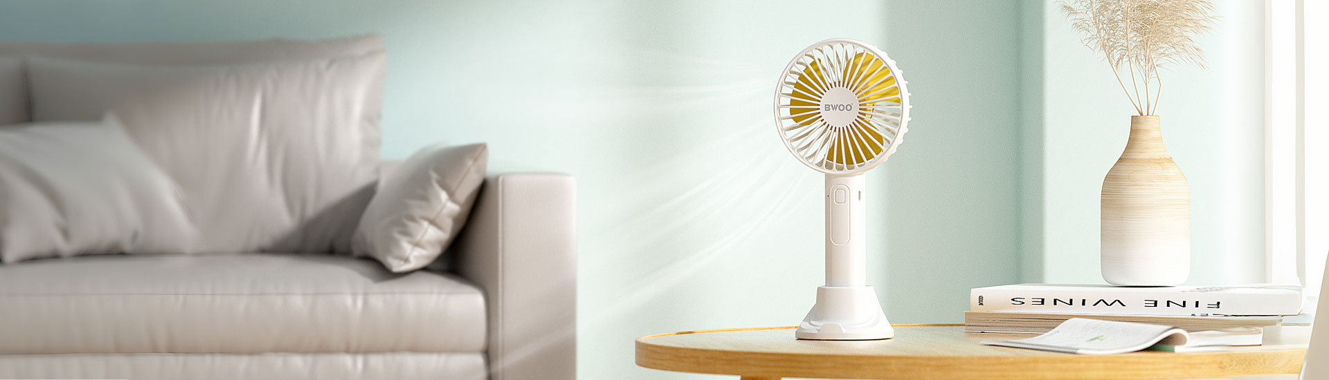 fan
