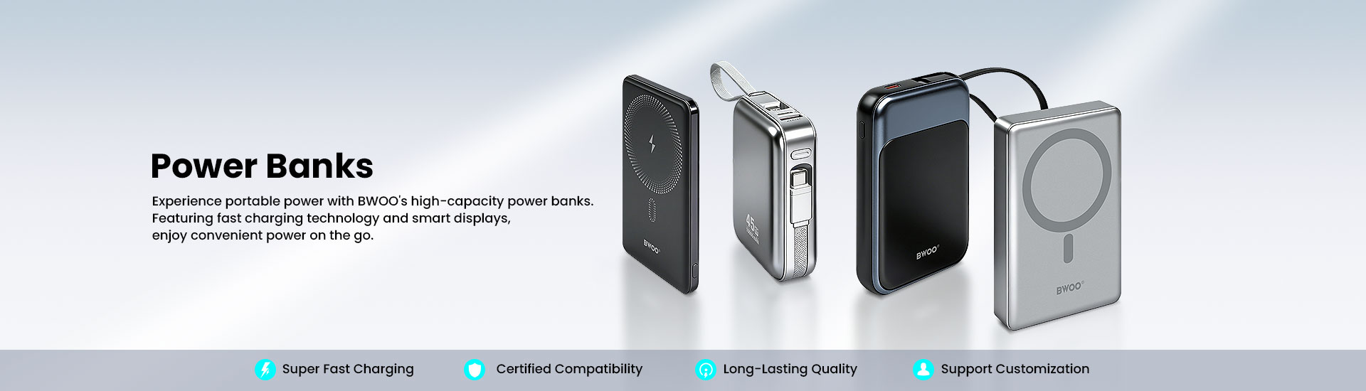 BWOO Power Banks Manufacturer